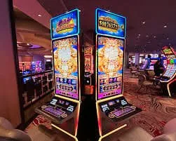 pokernews Así estructuramos el servicio para ti
